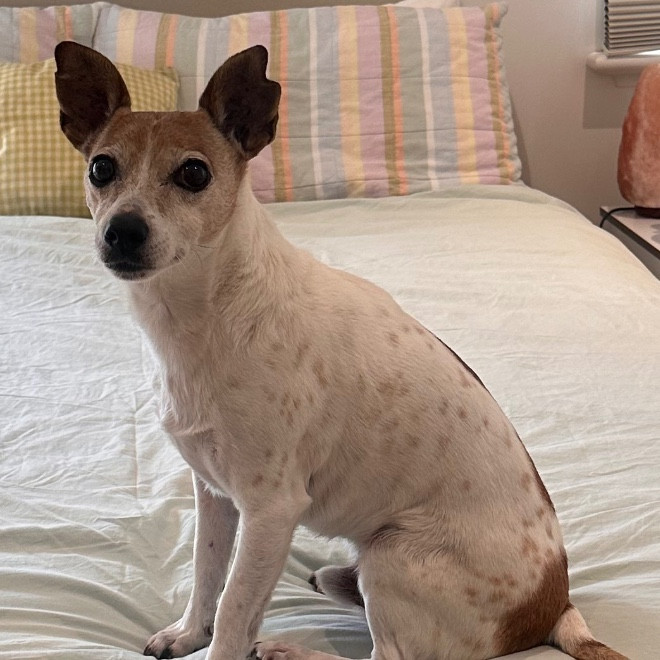daisytoogood