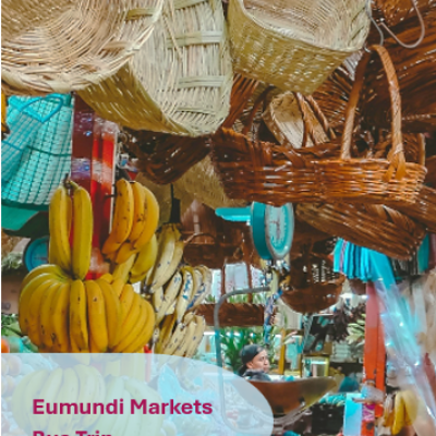 Eumundi Markets Bus Trip