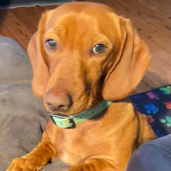 Cathy Pearsall-Tucker