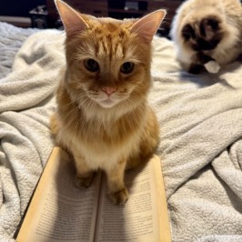 The Book Babes
