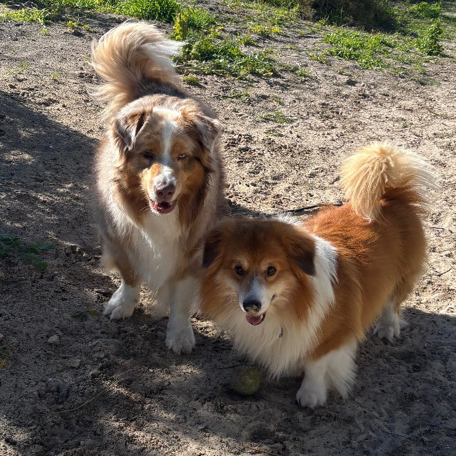 Skylah- Rosie&Max🌼