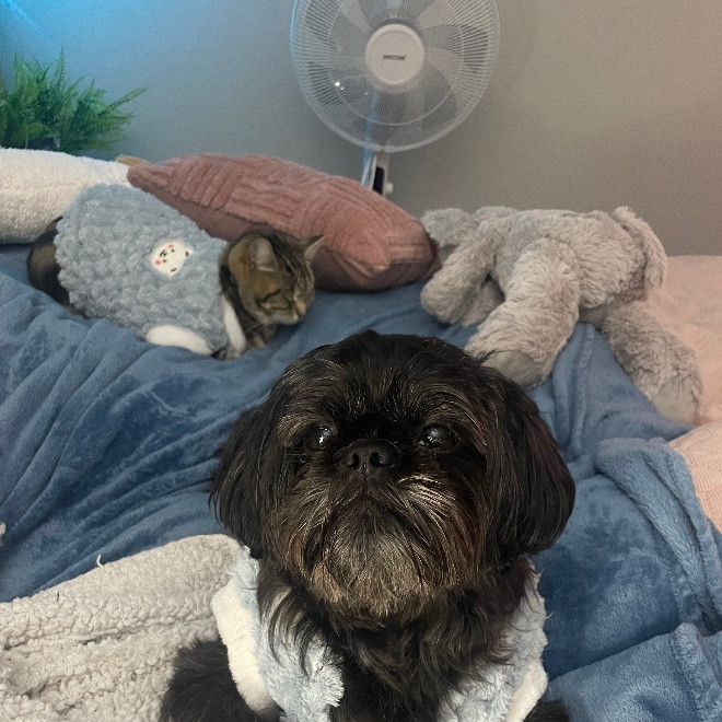 Jana Katrina De Los Reyes